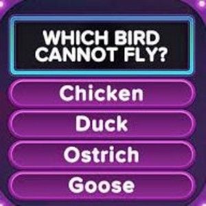 Trivia Star: Trivia Games Quiz